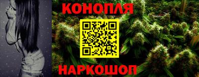 гашик Лесосибирск