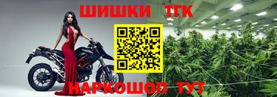 гашик Лесосибирск
