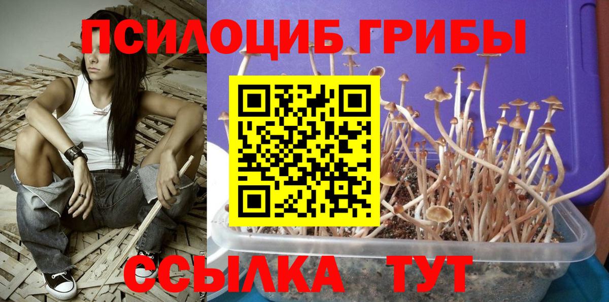Ялта  где купить   Вход с VPN  Псилоцибиновые грибы прущие грибы 