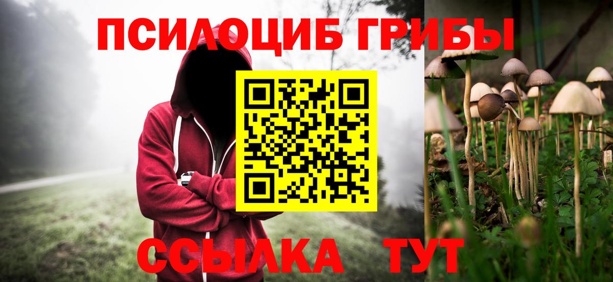 Псилоцибиновые грибы мицелий Ялта